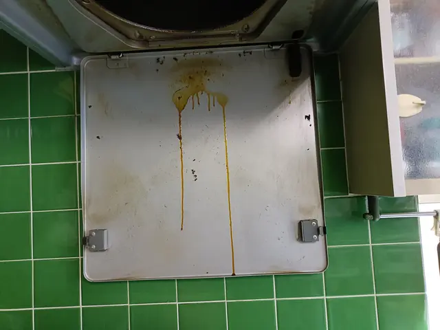 ★換気扇の油はプロにお任せ！業務用の強力な洗剤で一発洗浄！＋私の気合いの手作業サービスの画像