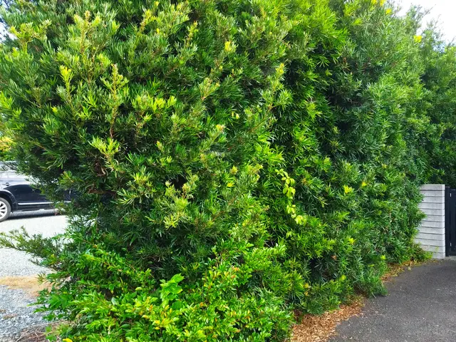 【業歴11年の経験と実績】静岡市発・迅速きれいに仕上げます！お任せくださいサービスの画像