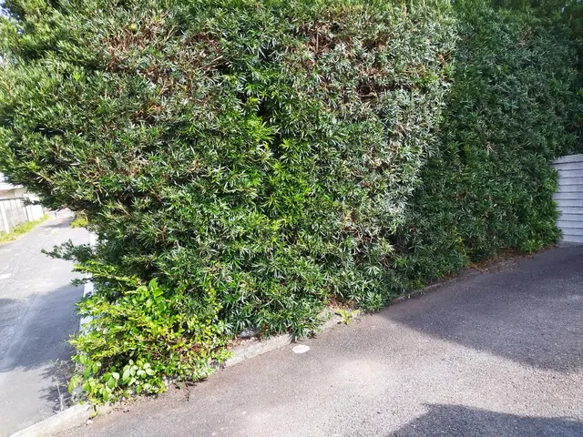 【業歴11年の経験と実績】静岡市発・迅速きれいに仕上げます！お任せくださいサービスの画像