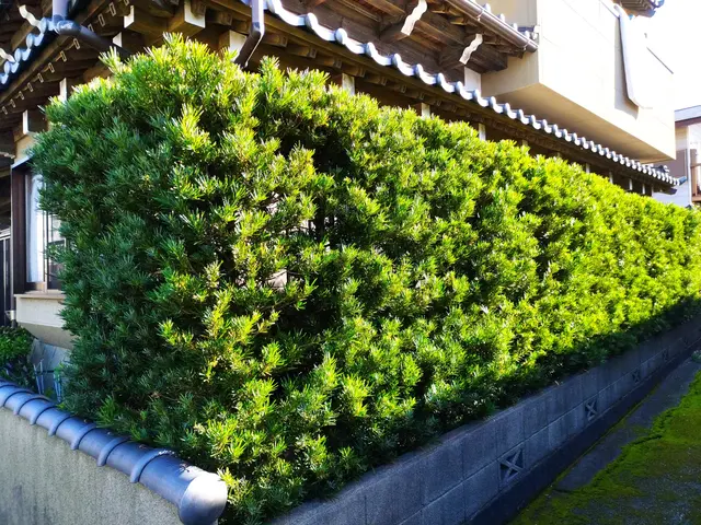 【業歴11年の経験と実績】静岡市発・迅速きれいに仕上げます！お任せくださいサービスの画像