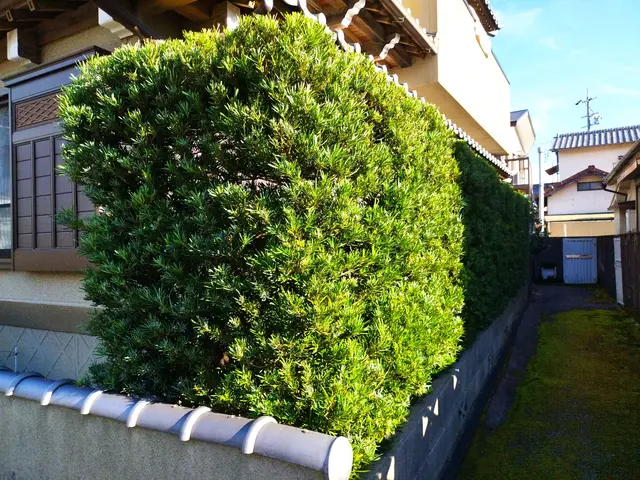 【業歴11年の経験と実績】静岡市発・迅速きれいに仕上げます！お任せくださいサービスの画像