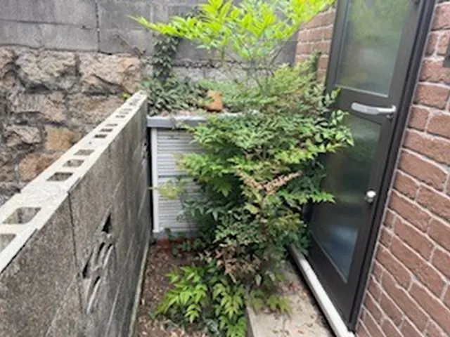 除草＆剪定でお庭をスッキリ！公共交通機関でお伺いいたします。サービスの画像