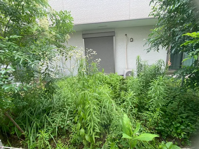 【地域密着】楽々草刈りサービス★お庭スッキリ！サービスの画像