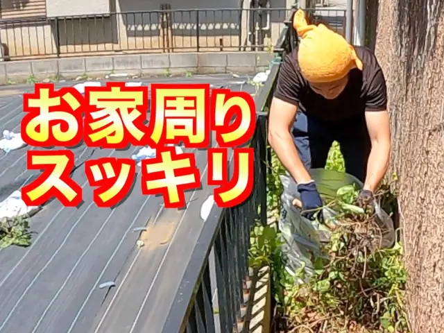 【8800円/10㎡≒６畳】手作業だから複雑な狭小地もスッキリ！☆損害保険適応☆サービスの画像