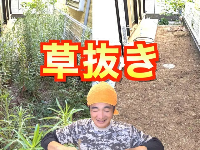 【8800円/10㎡≒６畳】手作業だから複雑な狭小地もスッキリ！☆損害保険適応☆サービスの画像