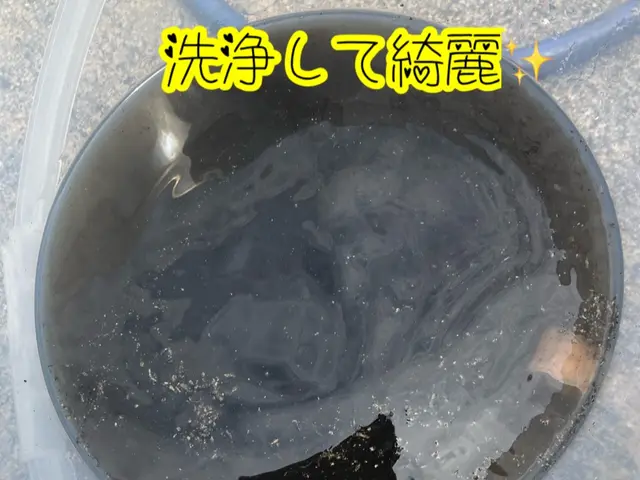 ◆キャンペーン中◆ハウスクリーニング士が丁寧に対応いたしますサービスの画像