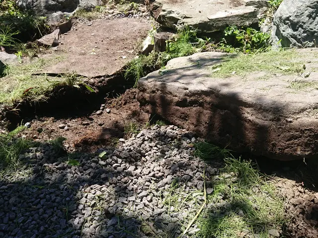 北海道内対応。芝張り作業おまかせください。サービスの画像