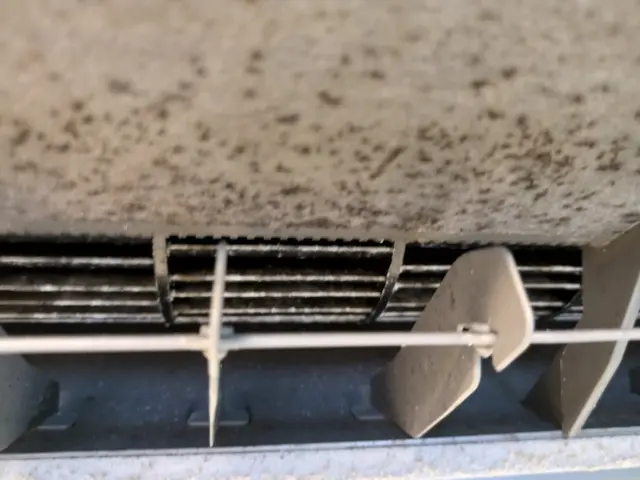 女性スタッフの同行OK◎損害保険に加入済み◎何でも当店へお任せください！サービスの画像