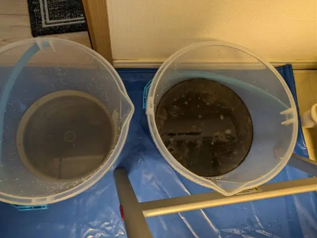 女性スタッフの同行OK◎損害保険に加入済み◎何でも当店へお任せください！サービスの画像