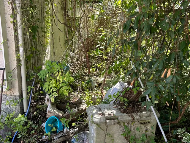 大阪を中心に近畿一円で承っております！お庭のことなら何でもお任せください！サービスの画像