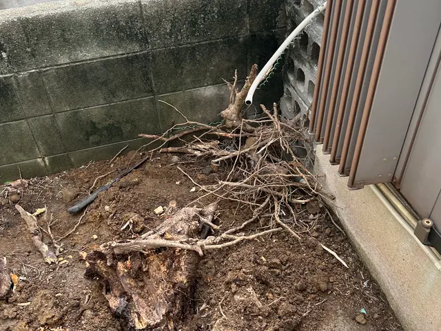 大阪を中心に近畿一円で承っております！お庭のことなら何でもお任せください！サービスの画像