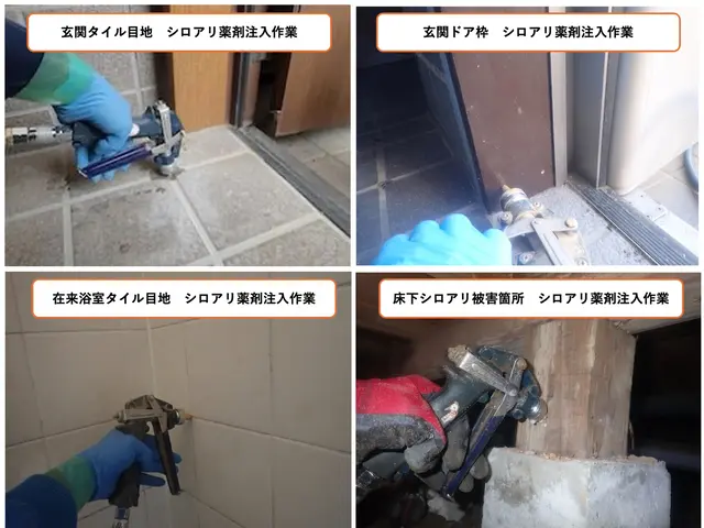 6年連続入賞★口コミ数No1★ペットに安全薬剤★白蟻駆除資格★クレカ可★5年保証サービスの画像