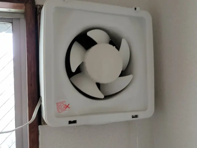 水回りクリーニング / 2点セット（キッチン+換気扇）サービスの画像