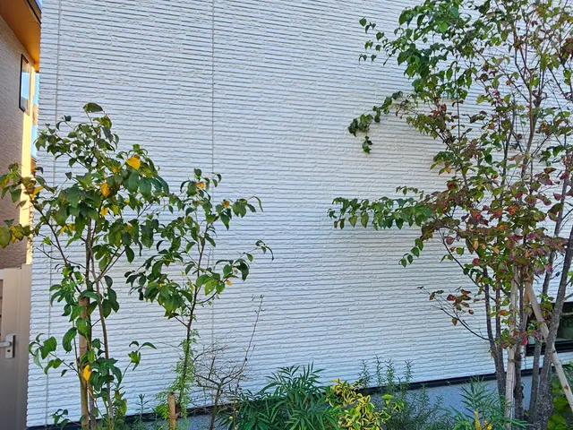 手洗い、高圧洗浄 外壁クリーニングサービスの画像