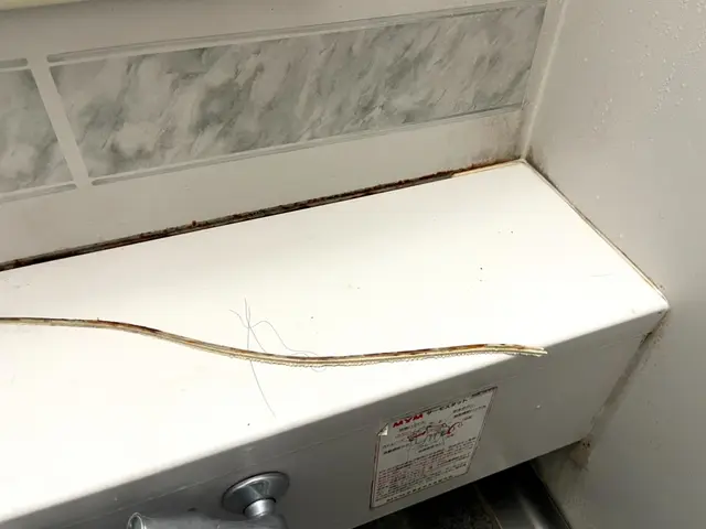 【損害保険加盟店】◉安心の法人店舗◉隅々まで美しく仕上げるプロのチームが訪問サービスの画像