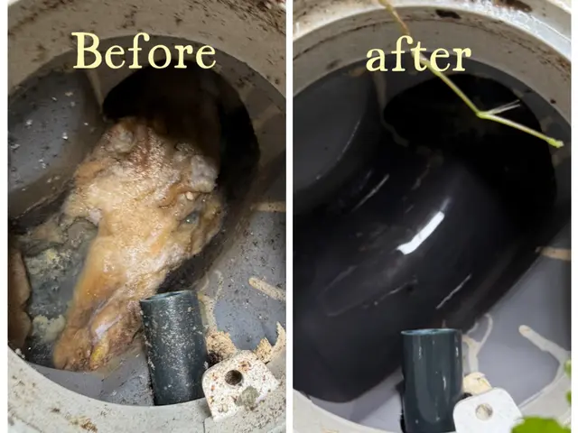 新規出店キャンペーン！3月15日迄　¥15,000→¥11,000サービスの画像