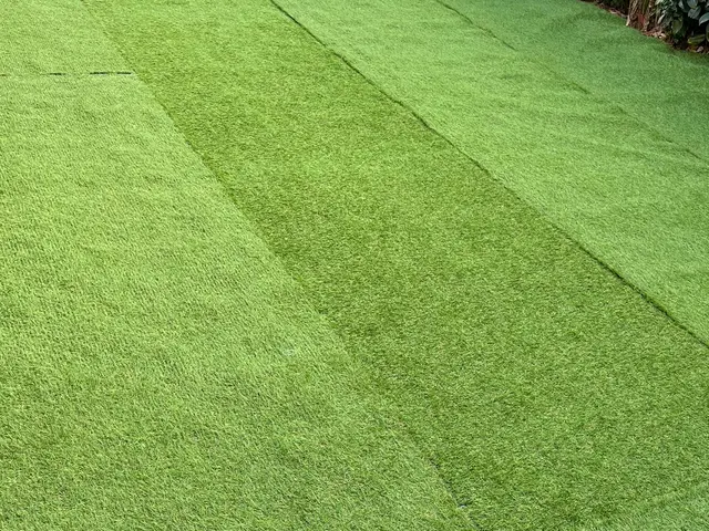 緑鮮やかな寝転びたくなるような素敵なお庭を是非ご体感下さい(*^^*)サービスの画像