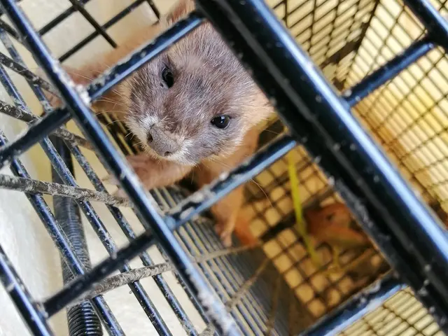 全てのお客様に親切丁寧に。 来てくれて良かったと思って頂けるサービスを！サービスの画像