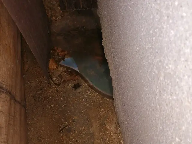 全てのお客様に親切丁寧に。 来てくれて良かったと思って頂けるサービスを！サービスの画像