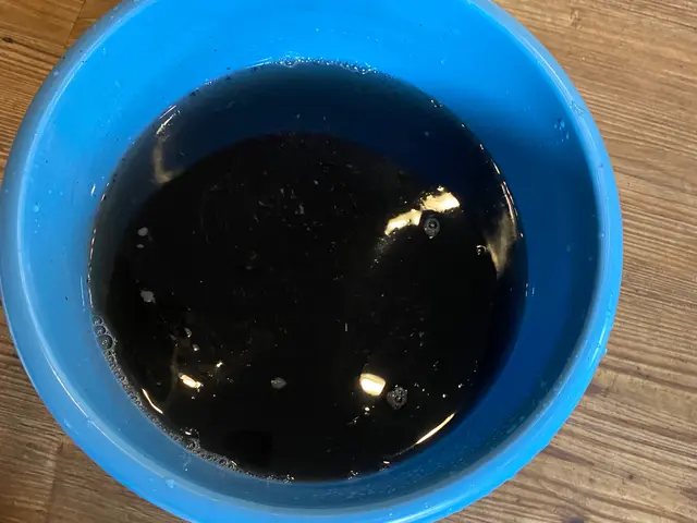 【快適空間】☆3度洗い赤ちゃん・ペットに安心☆現金払い抗菌無料☆複数台割引あり☆サービスの画像