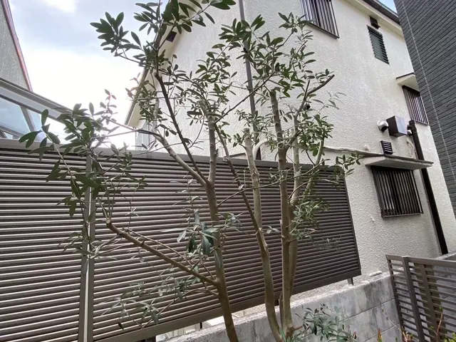 剪定ダイレクトサービスの画像