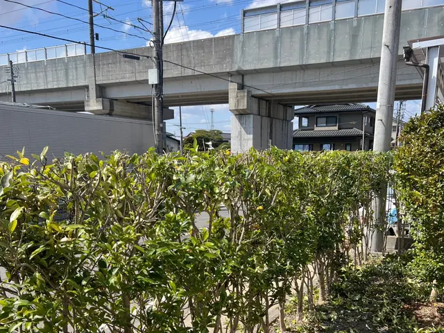 【年中無休で営業中】豊富な経験と知識で安心！ぜひお気軽にご相談ください♪サービスの画像