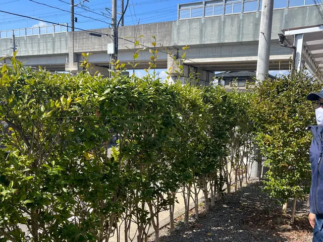 【年中無休で営業中】豊富な経験と知識で安心！ぜひお気軽にご相談ください♪サービスの画像