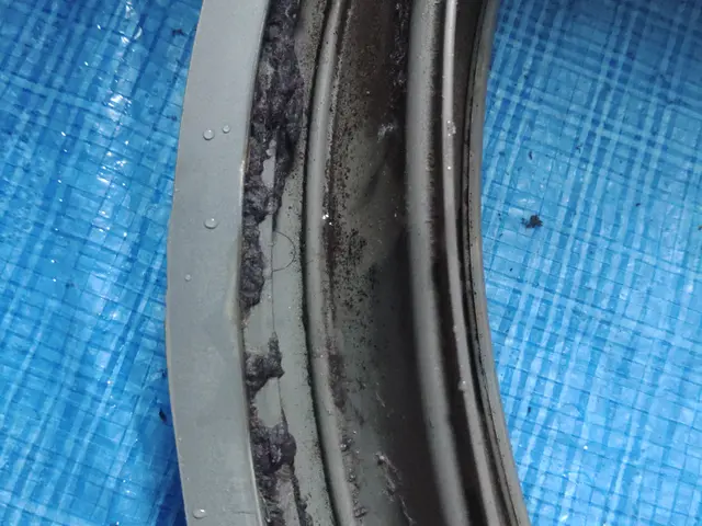 ただいま新年お掃除キャンペーン中です！！是非お得な時にご利用下さい。サービスの画像