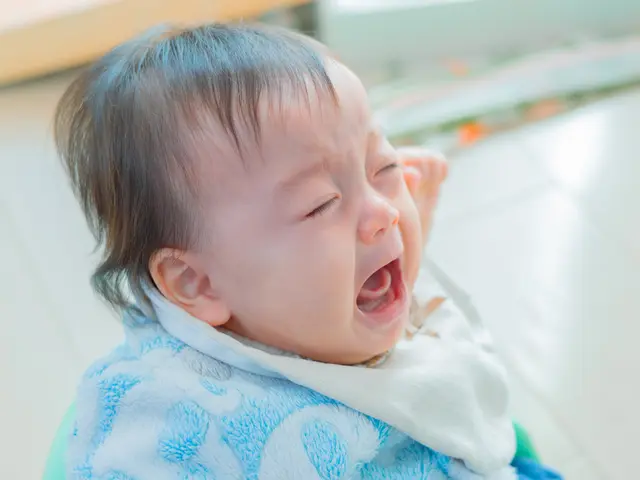 あなたの魅力を最大限に引き出す、心温まる撮影体験。