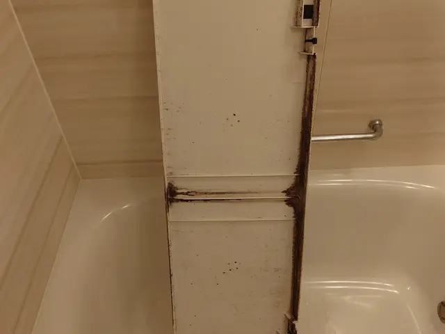 清々しい空気で、心身ともに気持ちの良い毎日を。お客様に寄り添い徹底洗浄！サービスの画像