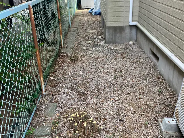 【草むしりが好きです】2人作業で丁寧に草むしり致します！お庭を綺麗に致します！サービスの画像