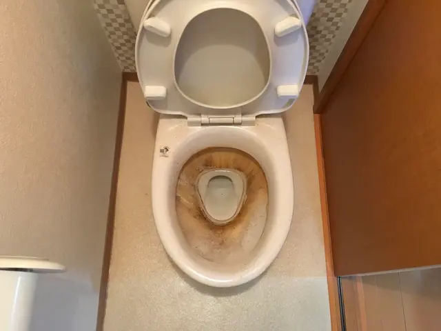 ウォシュレット分解清掃◎損害保険加入☆感染症対策除菌の実施！1月以降予約受付！サービスの画像