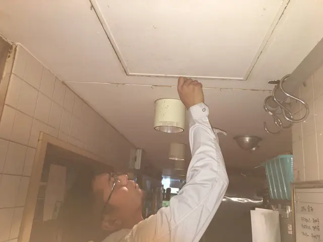 ♦︎ネズミプロ集団◆ネズミ死骸・回収・駐車料金・！！！全てコミコミ！！！サービスの画像