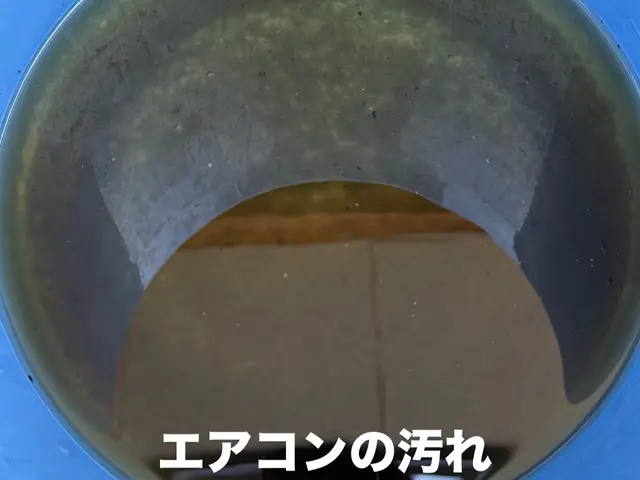 【出張します】クルマのエアコンクリーニング☆キレイな空気で車内をスッキリ快適に！サービスの画像