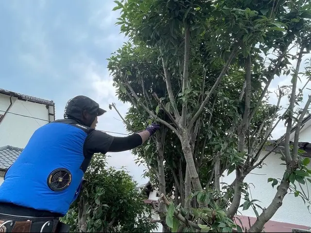 丁寧な作業で、お客様のご要望にお応えします！高木剪定可・お庭一式値引き有りサービスの画像