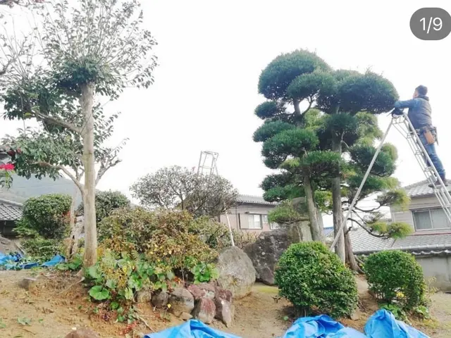 丁寧な作業で、お客様のご要望にお応えします！高木剪定可・お庭一式値引き有りサービスの画像