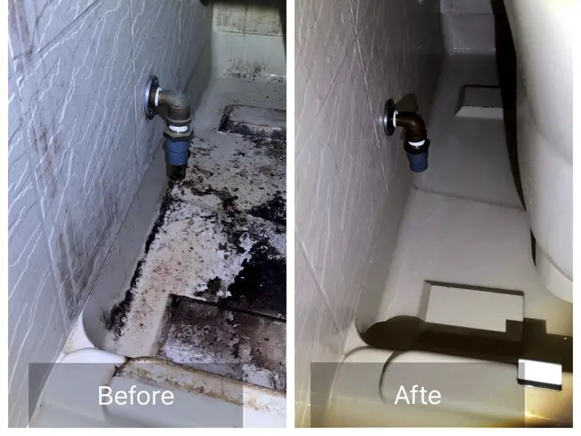 【総合ランキング上位店舗】❇損害保険✴大手出身❇即日対応✴即レス❇口コミ高評価サービスの画像