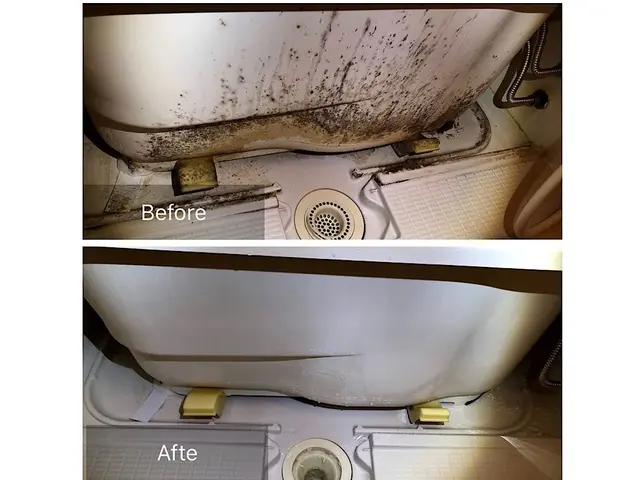 【総合ランキング上位店舗】❇損害保険✴大手出身❇即日対応✴即レス❇口コミ高評価サービスの画像