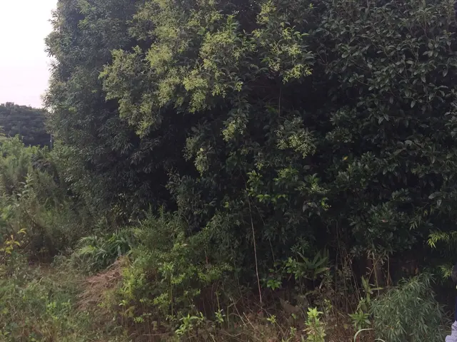 【船橋発】総口コミ数250件！この道20年のベテランがお伺い致しますサービスの画像