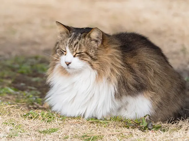 【横浜発】年間300件以上の豊富な撮影実績！翌日納品！室内可！多彩な支払方法！