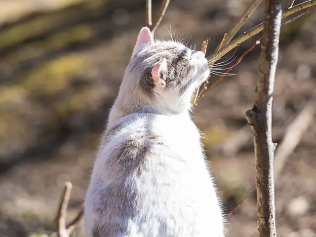 【横浜発】年間300件以上の豊富な撮影実績！翌日納品！室内可！多彩な支払方法！