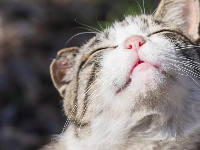 【横浜発】年間300件以上の豊富な撮影実績！翌日納品！室内可！多彩な支払方法！