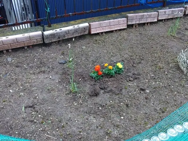 草むしりはお任せください。後片付けもばっちり！サービスの画像