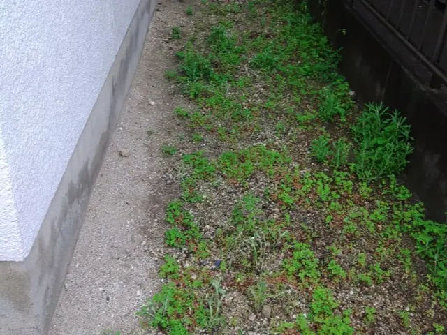 草むしりはお任せください。後片付けもばっちり！サービスの画像