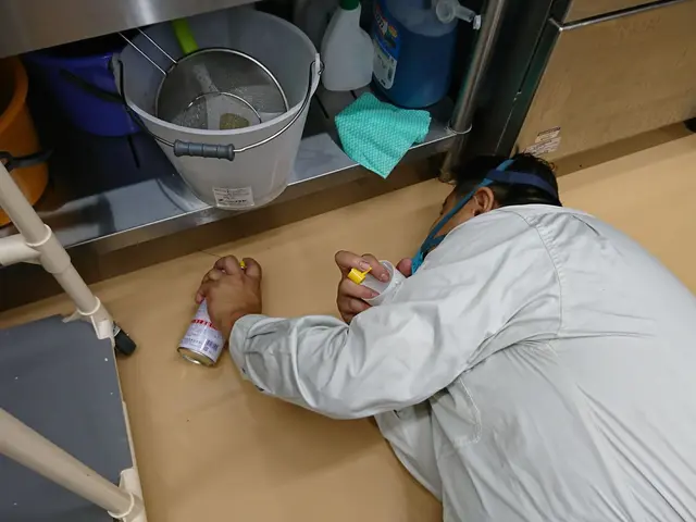 プロの腕お見せします♦︎トコジラミプロ集団♦︎駐車料金や薬剤量　全てコミコミサービスの画像