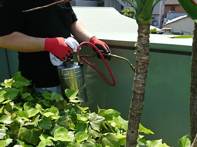 プロの腕お見せします♦︎トコジラミプロ集団♦︎駐車料金や薬剤量　全てコミコミサービスの画像
