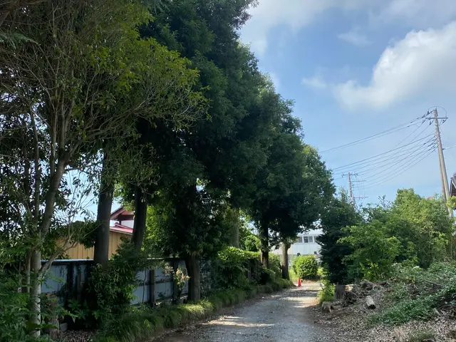 軽剪定や強剪定など難しい透かし剪定などをご要望にお応えしてかっこよくします♪サービスの画像