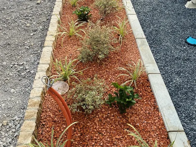 軽剪定や強剪定など難しい透かし剪定などをご要望にお応えしてかっこよくします♪サービスの画像