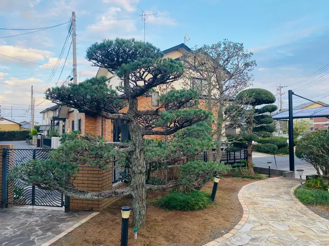 軽剪定や強剪定など難しい透かし剪定などをご要望にお応えしてかっこよくします♪サービスの画像