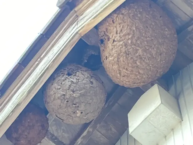 【当日対応OK】【再発報告0%の実績！】プロに任せて安心安全◎1週間補償付きサービスの画像